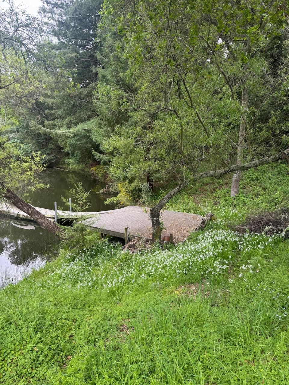 Lakefront Redwood Retreat 15 Minutes from Stanford Apartment in Woodside