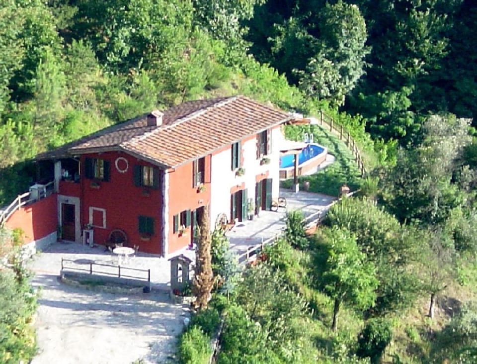 Property building, Natural landscape, Garden, Garden view
