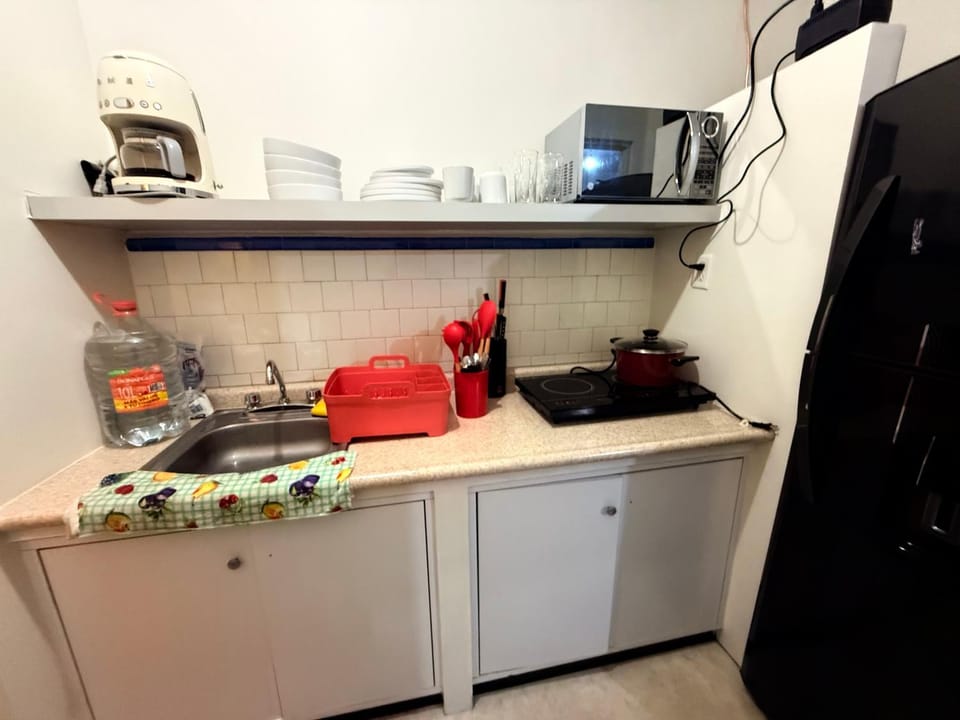 Bears house condesa-roma norte Vacation rental in Mexico City