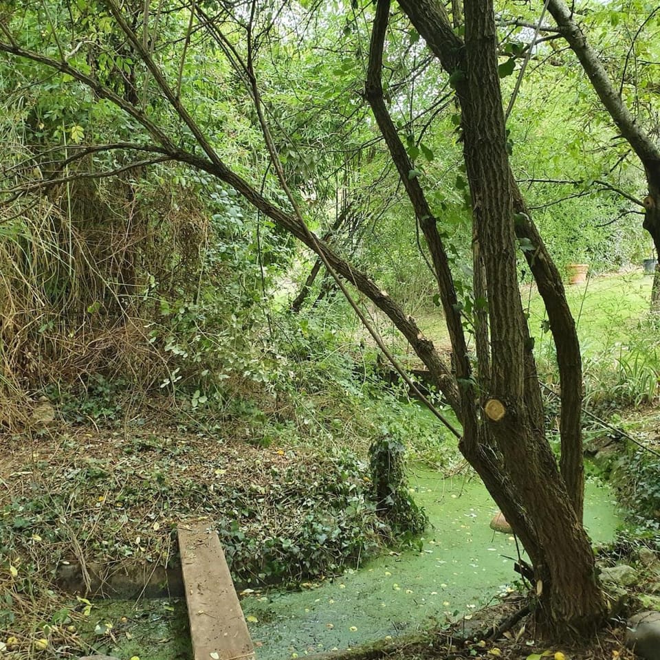 Natural landscape