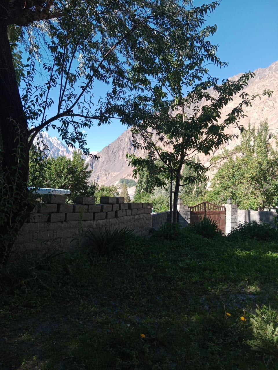 Mullberry Lodge Gulmit Bed and Breakfast in Pakistan