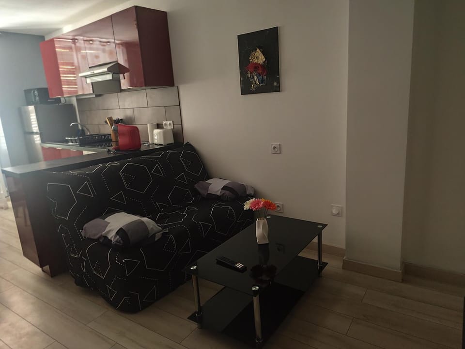 Charmant T2 avec balcon Apartment in Auvergne-Rhône-Alpes