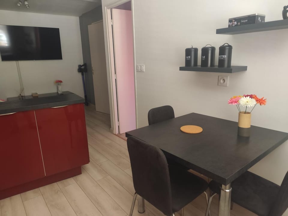 Charmant T2 avec balcon Apartment in Auvergne-Rhône-Alpes