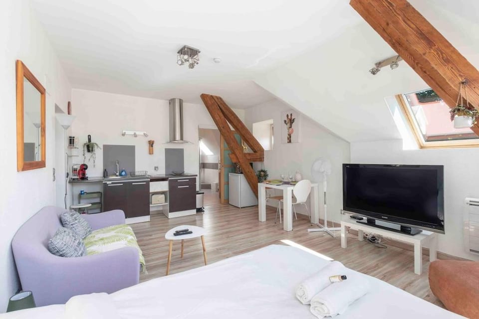 Communal lounge/ TV room, Bed, TV and multimedia, Kitchen or kitchenette, Living room, Photo of the whole room, Seating area, Evening entertainment, Bedroom