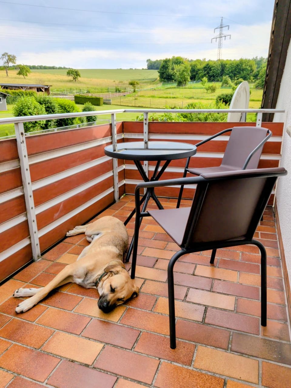 View (from property/room), Balcony/Terrace, Pets