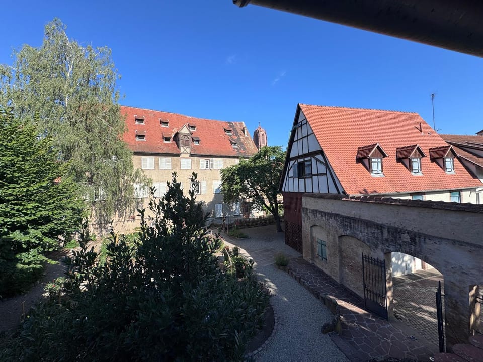 View (from property/room)
