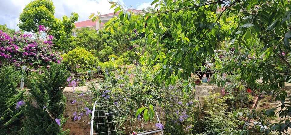 Căn hộ gia đình Đà Lạt Apartment in Dalat