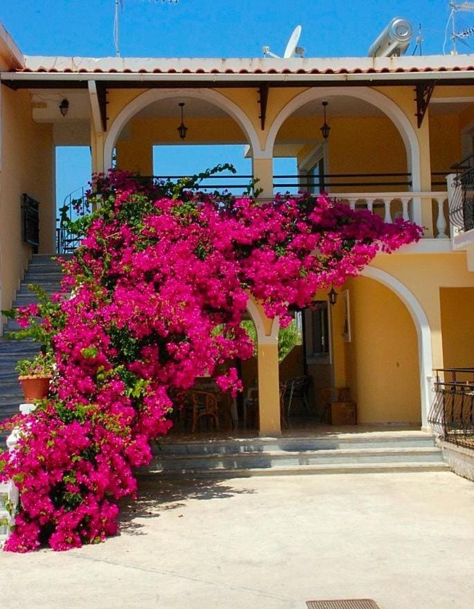 Zante 523 Apartment hotel in Zakynthos, Greece
