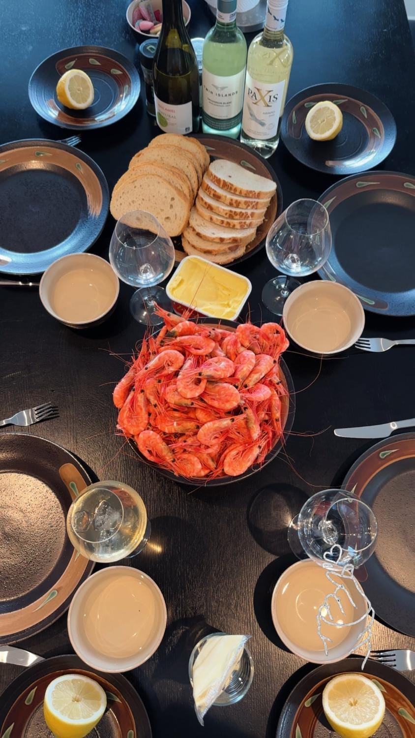 Willes Wellness Paradise Villa in Troms Og Finnmark
