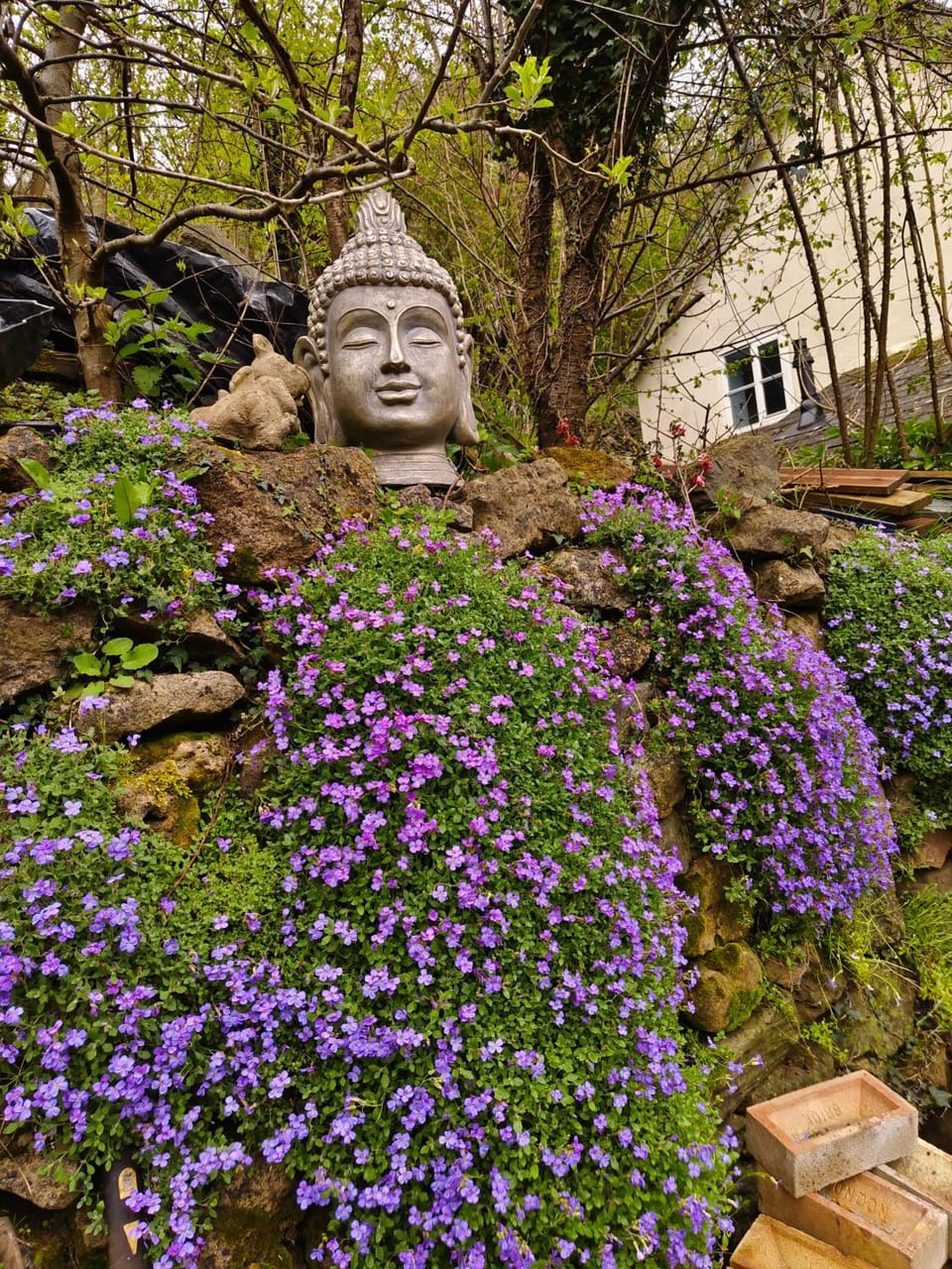 Tranquil Woodland Cottage by river Wye House in Forest of Dean