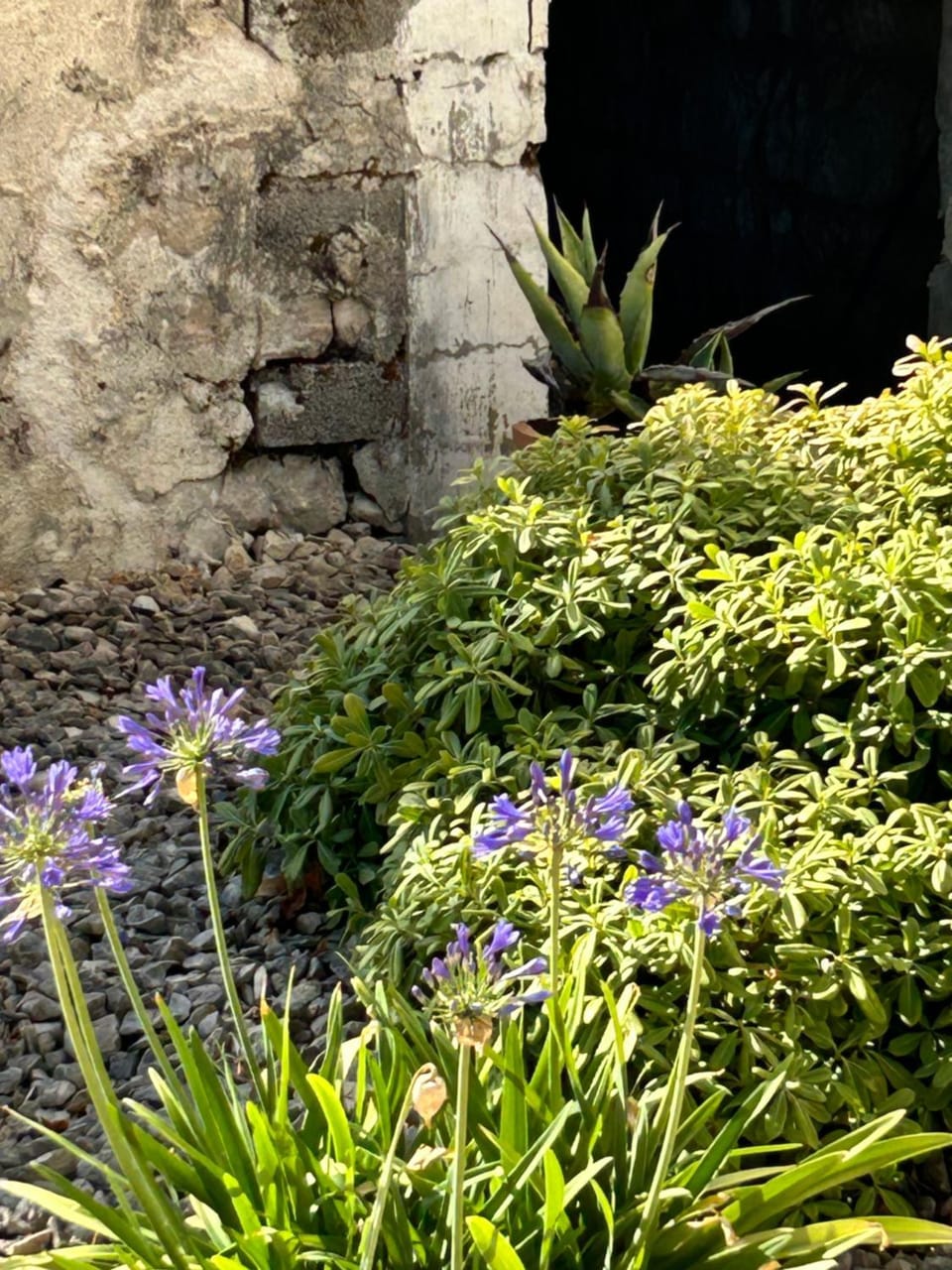 Garden, Garden view