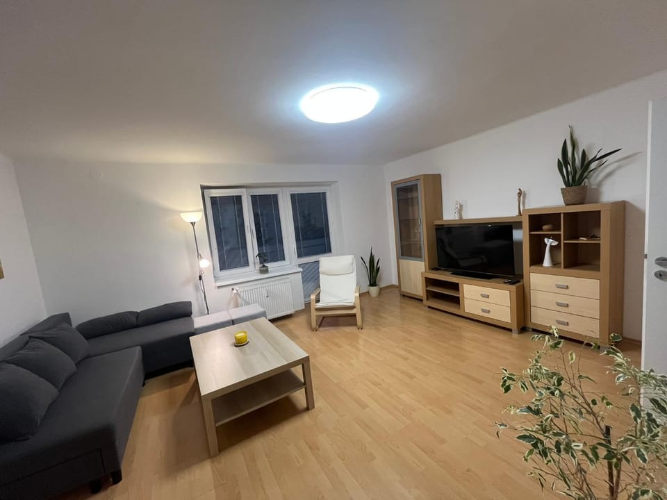 Sunny 2-room Apartment near City centre, Train station and Hockey Arena Apartment in Slovakia