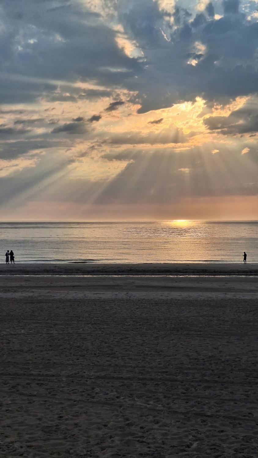 De Strandloper Apartment in North Holland (province)