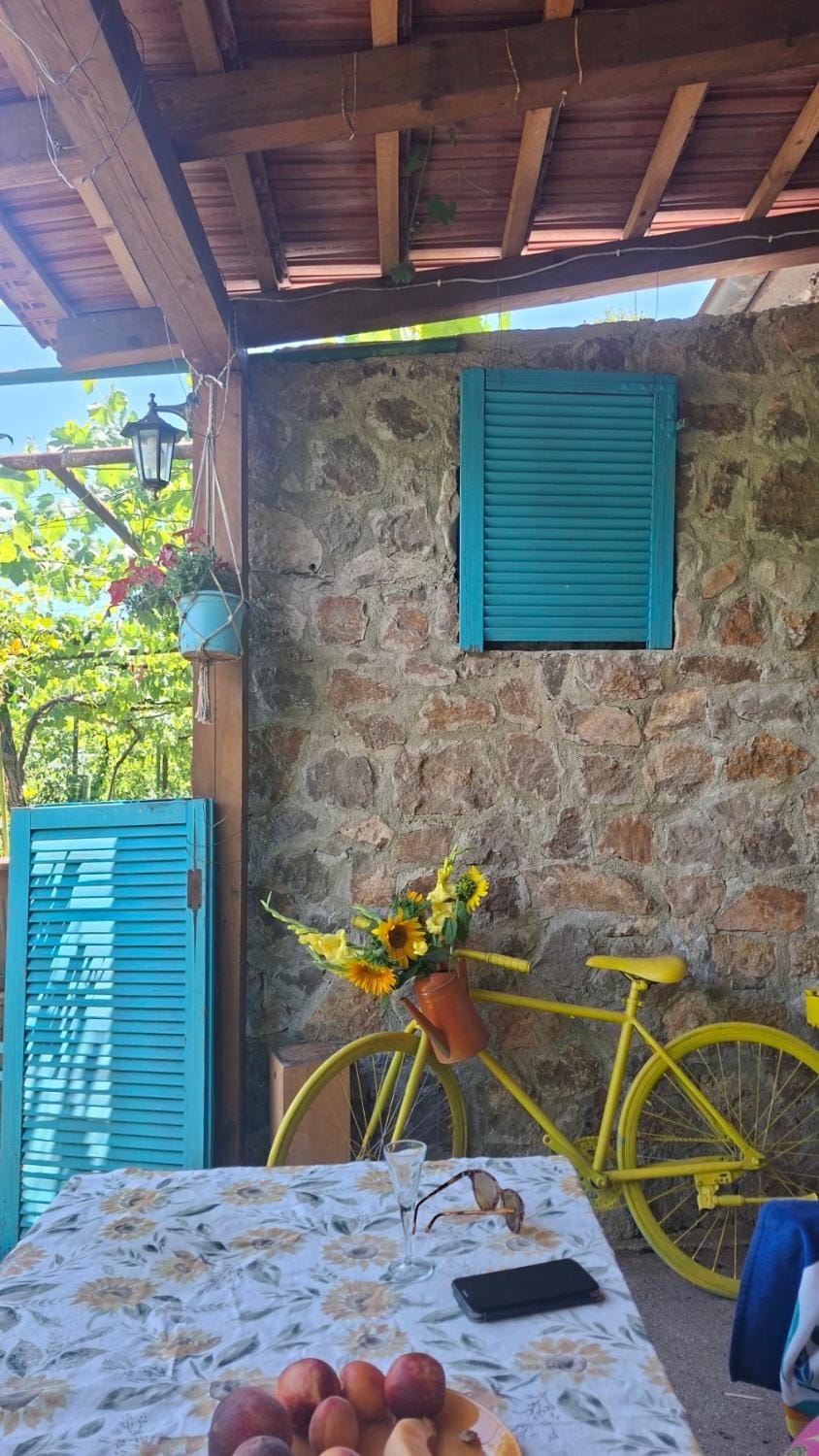 Ethno home 14 - Montenegro House in Podgorica