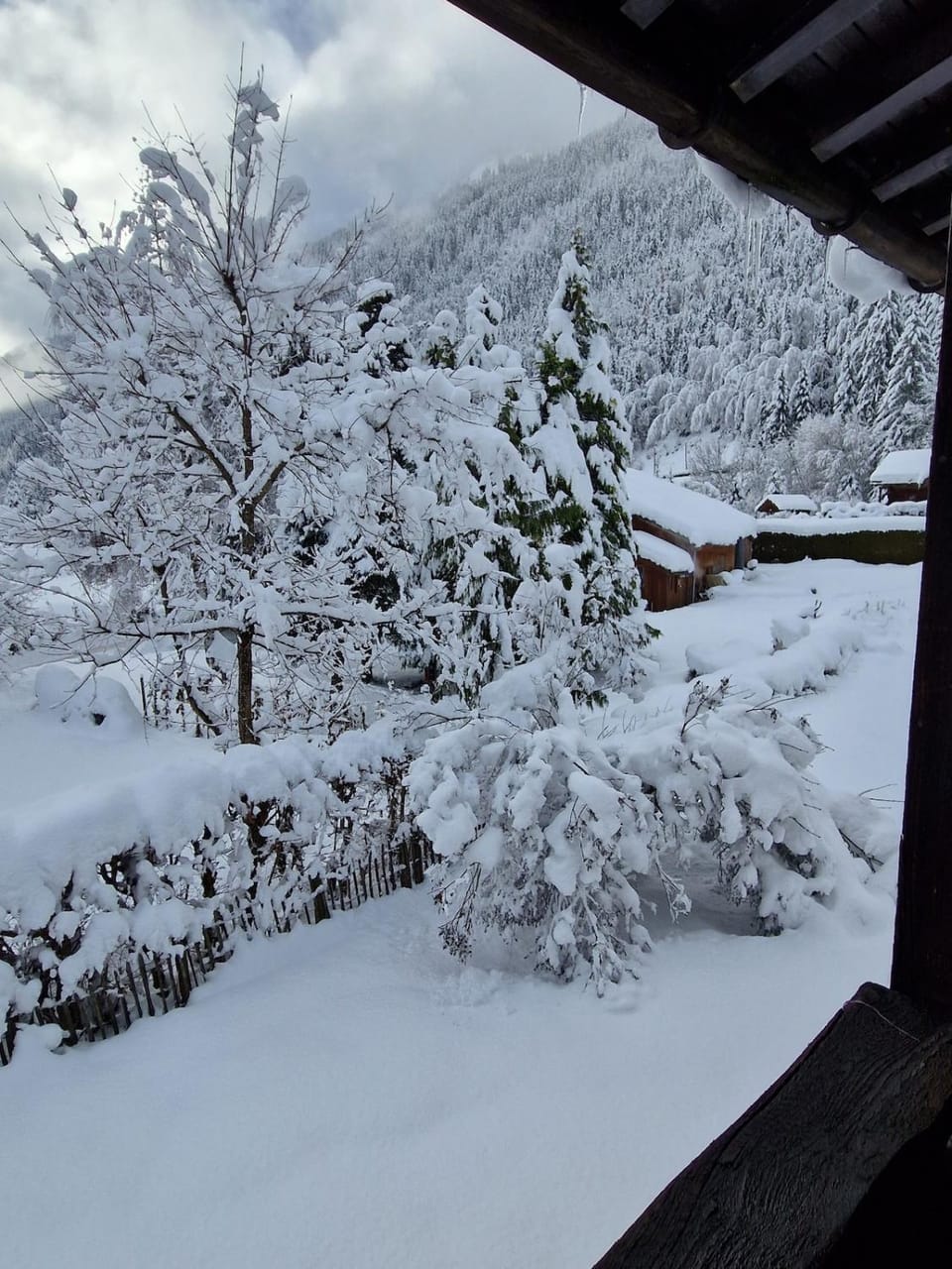 Garden, Garden, Garden view, Garden view