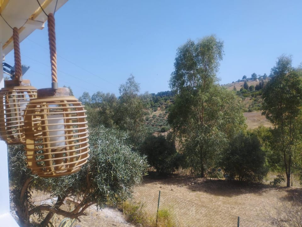 Garden, Garden view