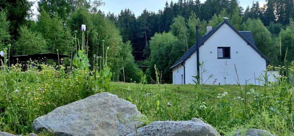 Property building, Garden view