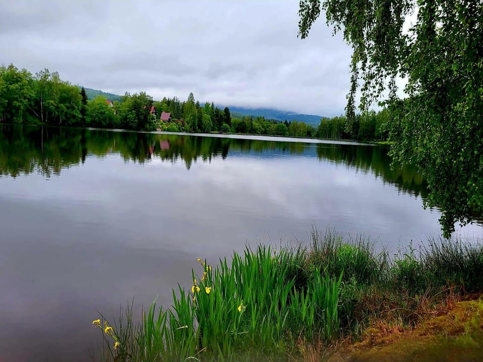 Natural landscape