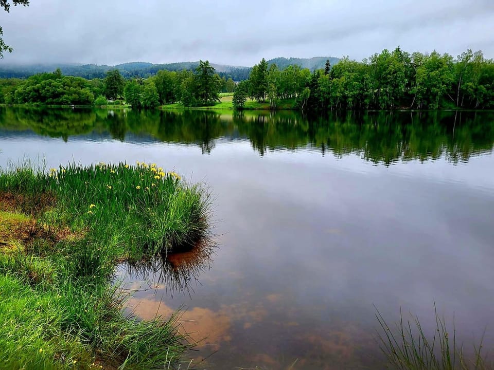 Natural landscape