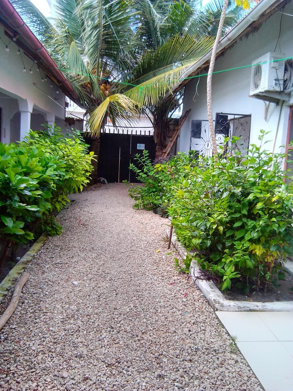 Nungwi Beach House 1 Bed and Breakfast in Nungwi
