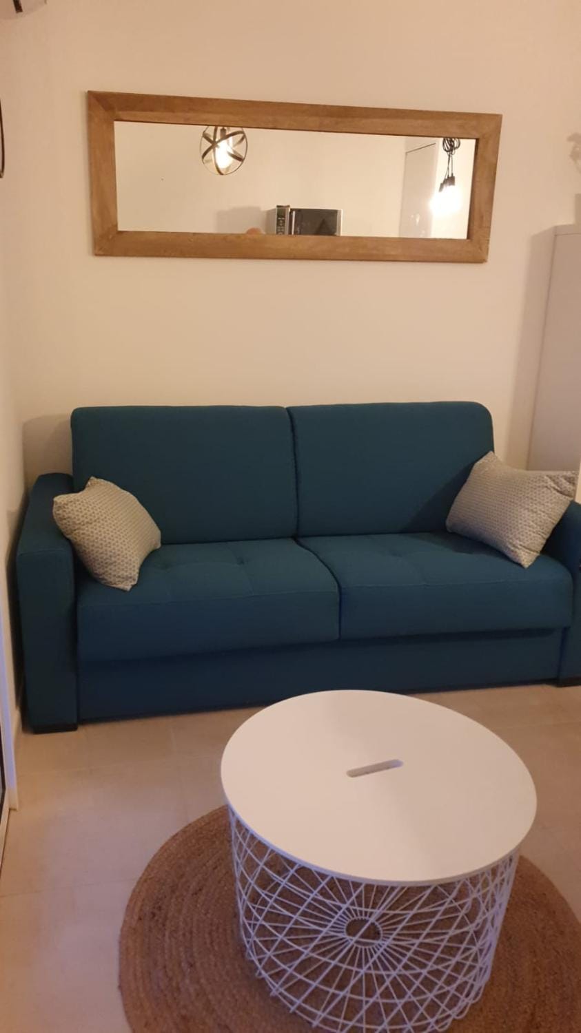 Appartement Pieds dans l'eau - Bravone Apartment in Linguizzetta
