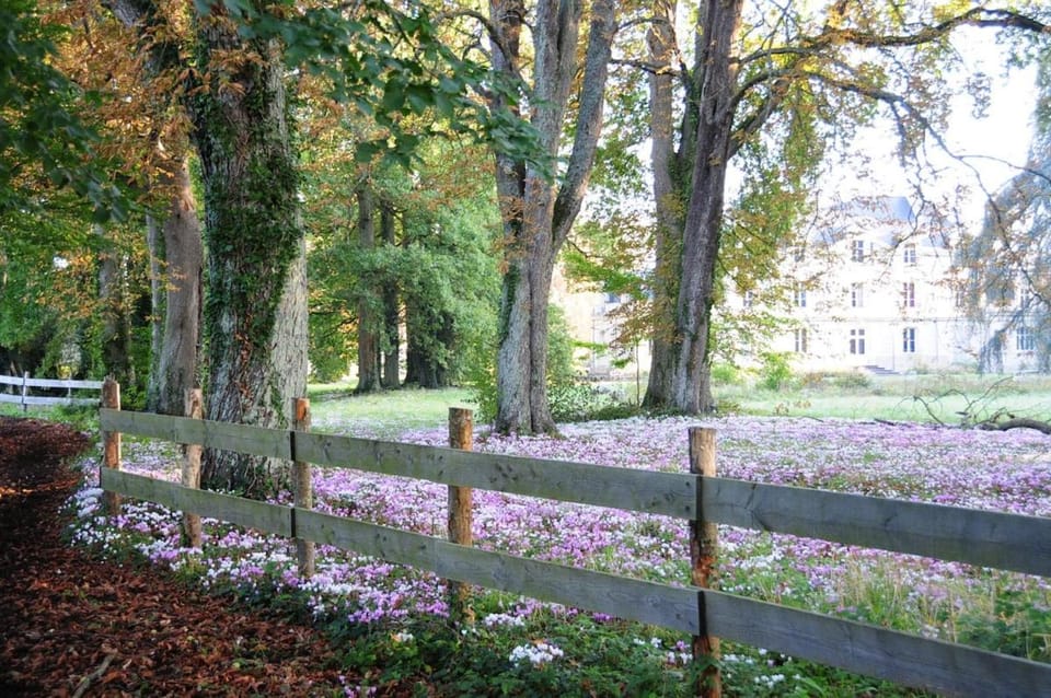 GITE LA PETITE BIJOUTERIE 5 Personnes House in Pays de la Loire
