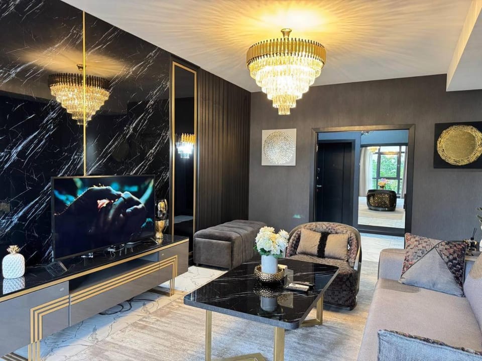 Living room, Seating area, air conditioner