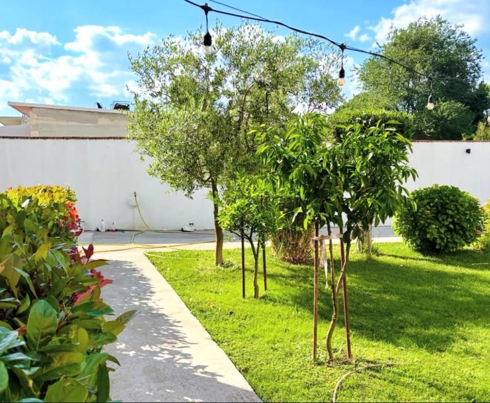 Garden view