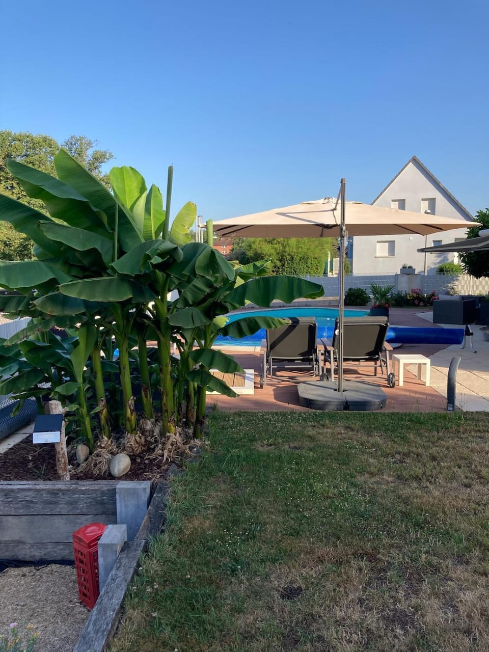 Day, Garden view, Swimming pool
