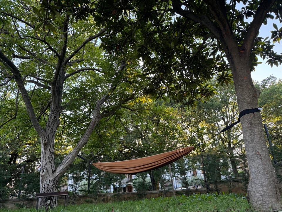 Natural landscape, Garden