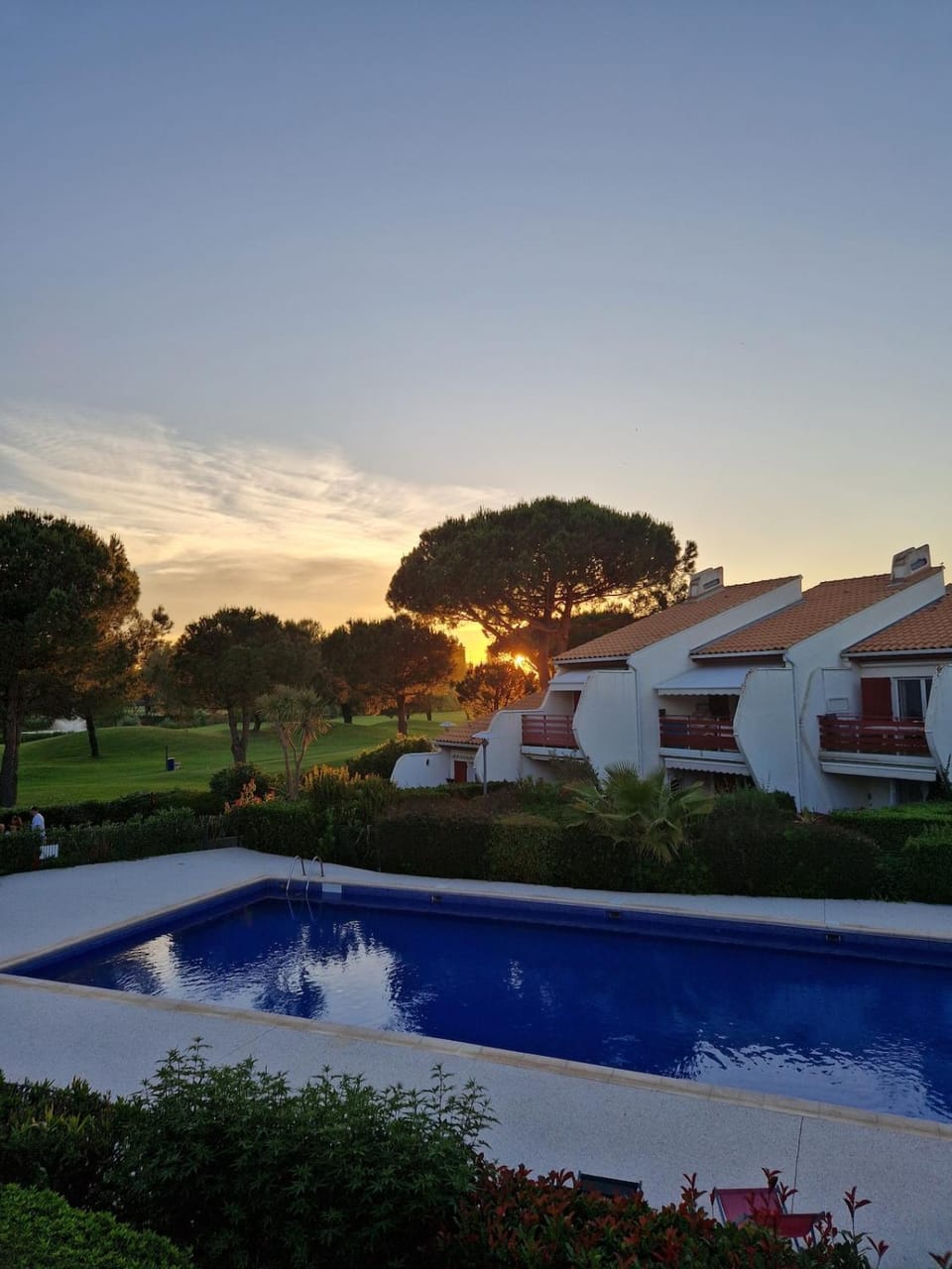 Garden, Pool view, Swimming pool, Sunset
