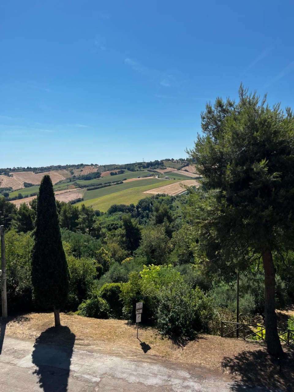 View (from property/room)