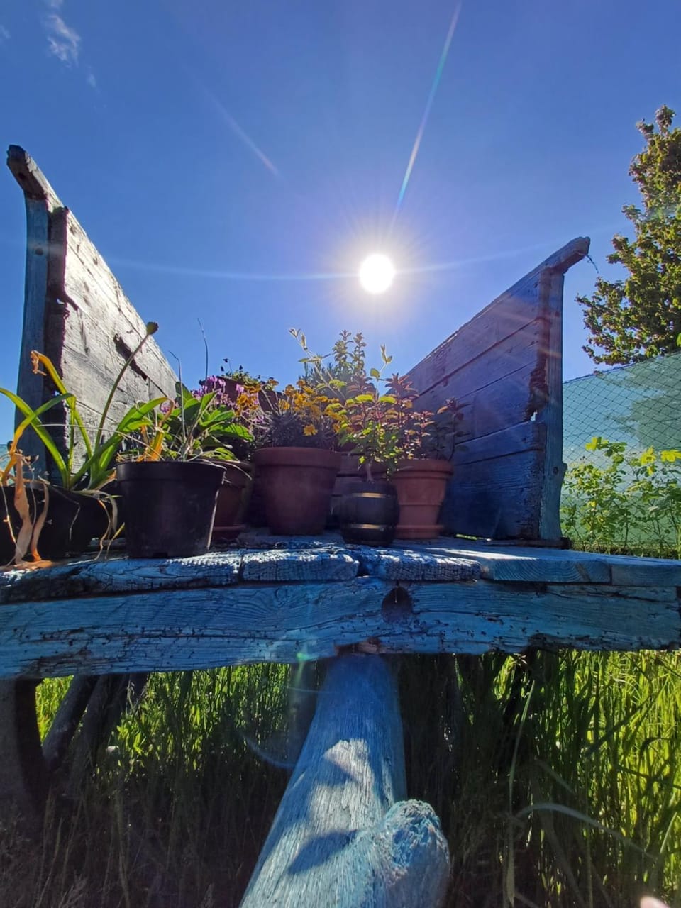 Garden view