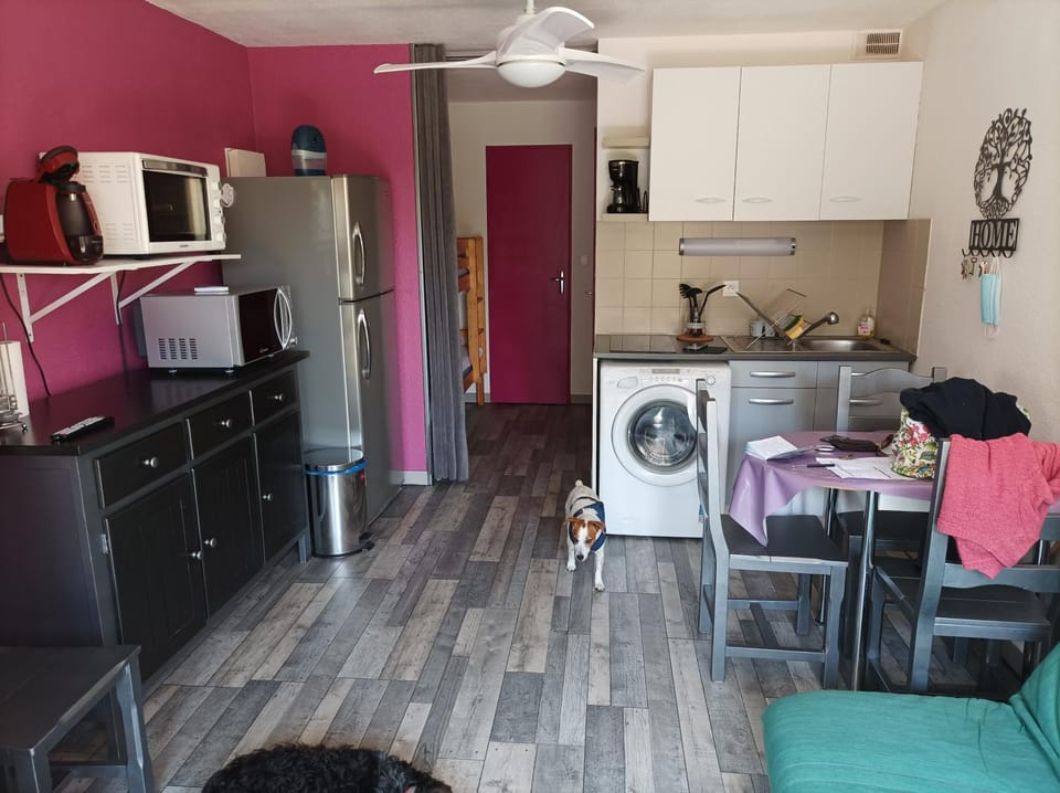 Canet Roussillon plage Apartment in Canet-en-Roussillon