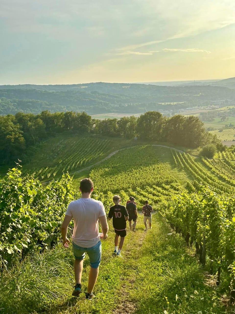 Spring, Day, People, Natural landscape, Mountain view, Sunset, group of guests