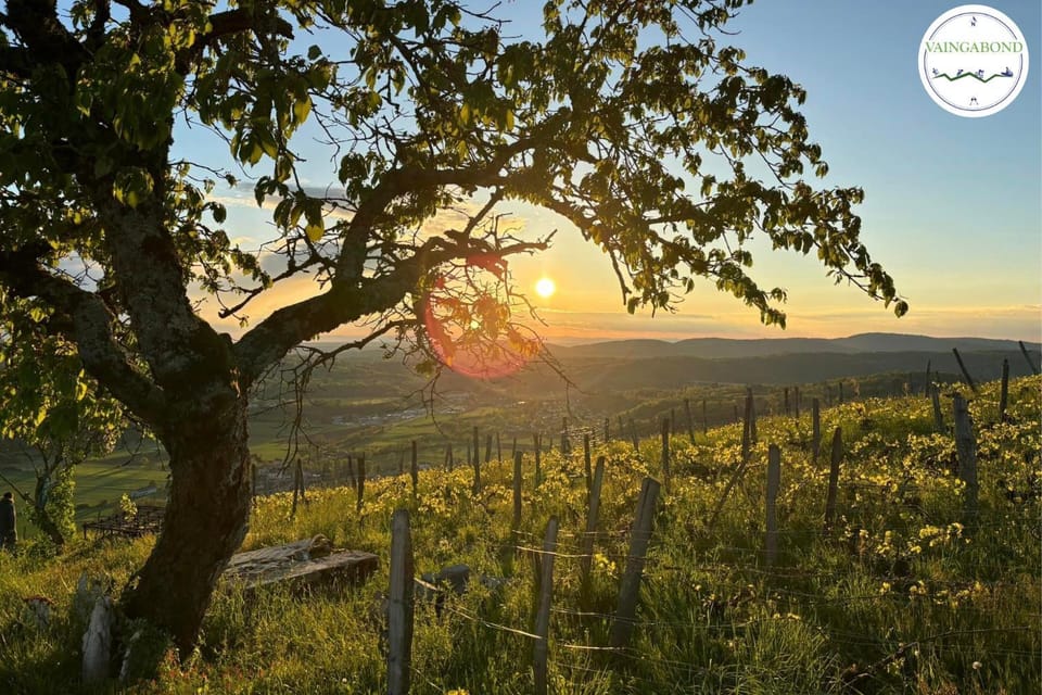 Spring, Natural landscape, Sunset