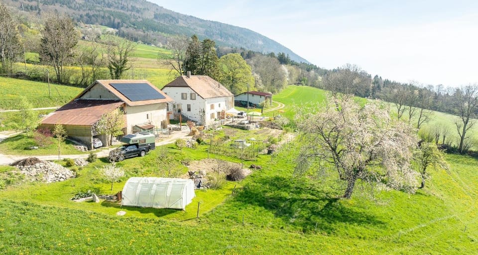Property building, Bird's eye view
