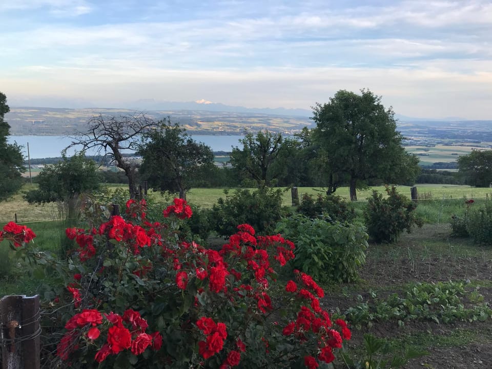 Natural landscape, Lake view, Mountain view