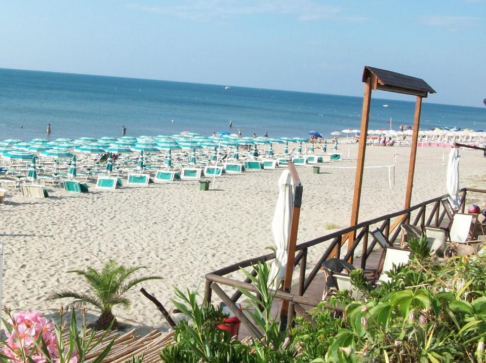 Beach, Beach