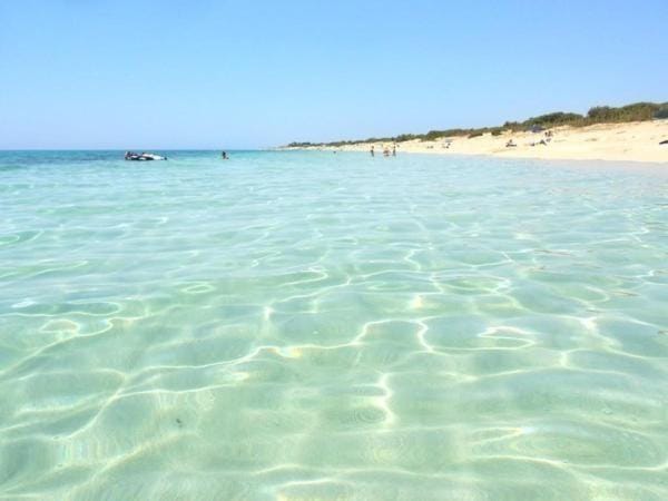 Natural landscape, Beach, Beach