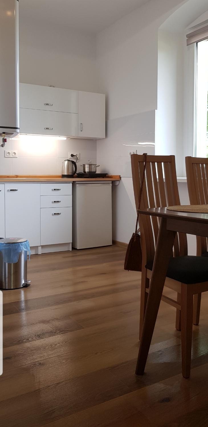 Kitchen or kitchenette, Dining area, microwave, stove