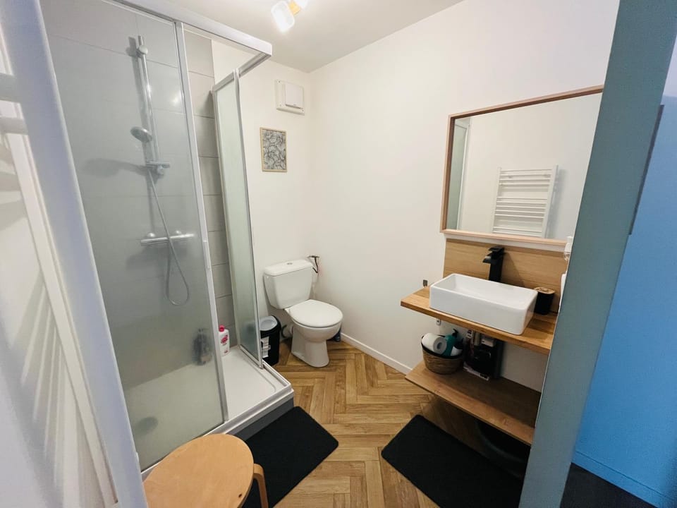 Mon petit cocon auvergnat Apartment in Auvergne-Rhône-Alpes