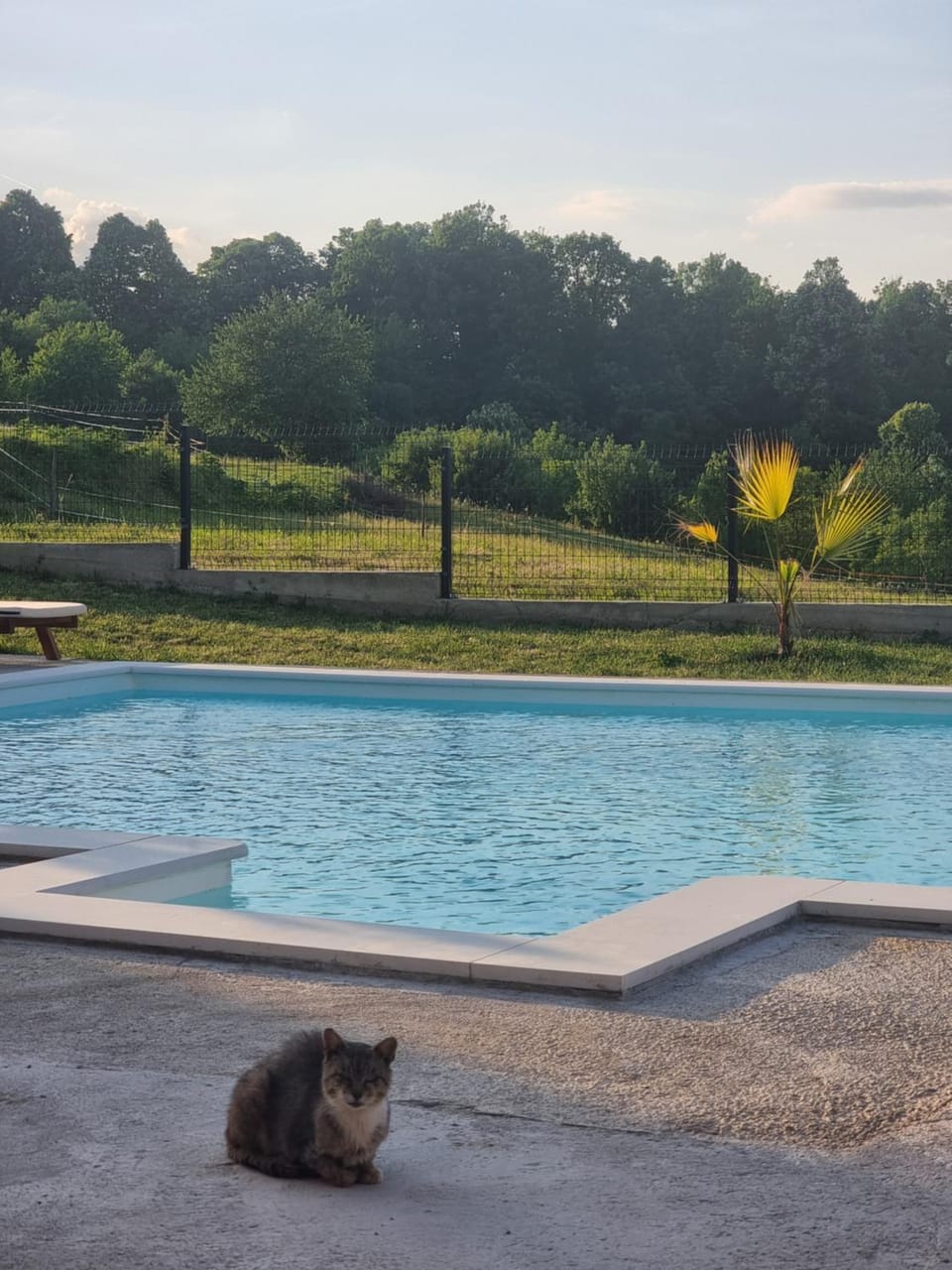 Pool view