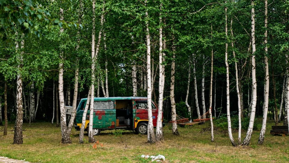 Natural landscape