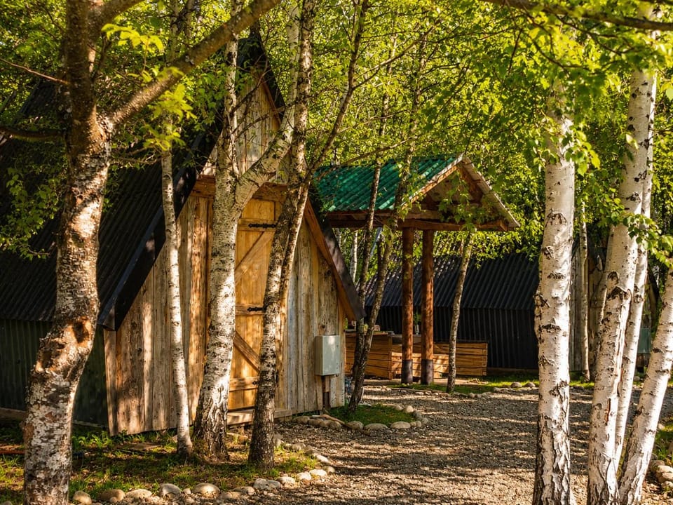 Restaurant/places to eat, Spring, Day, Natural landscape
