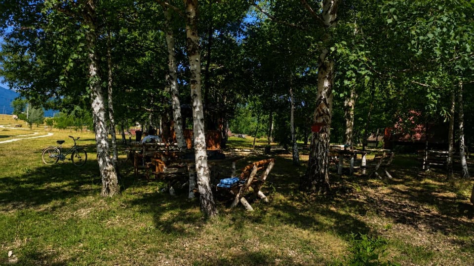 Restaurant/places to eat, Dining area
