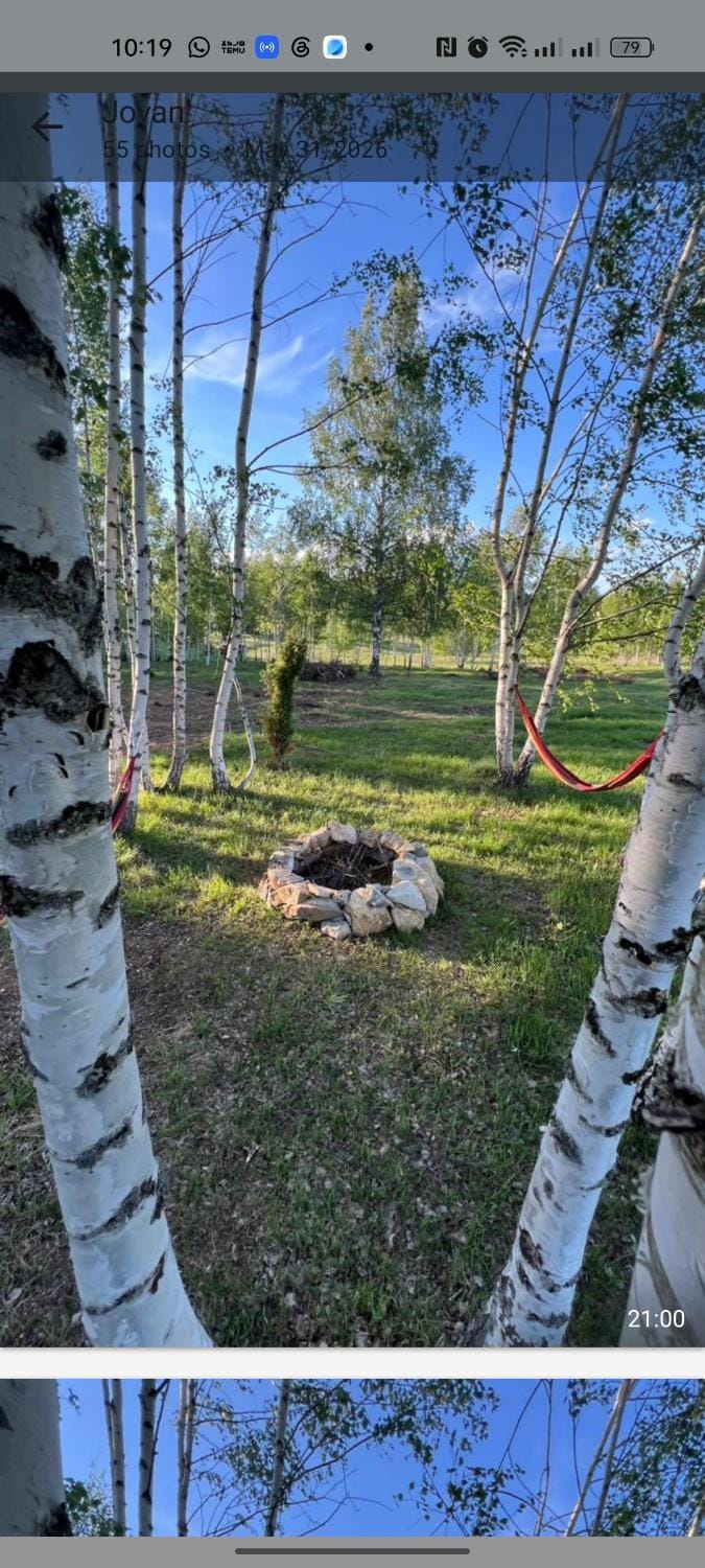 Camp Birch Forest House in Zlatibor District, Serbia