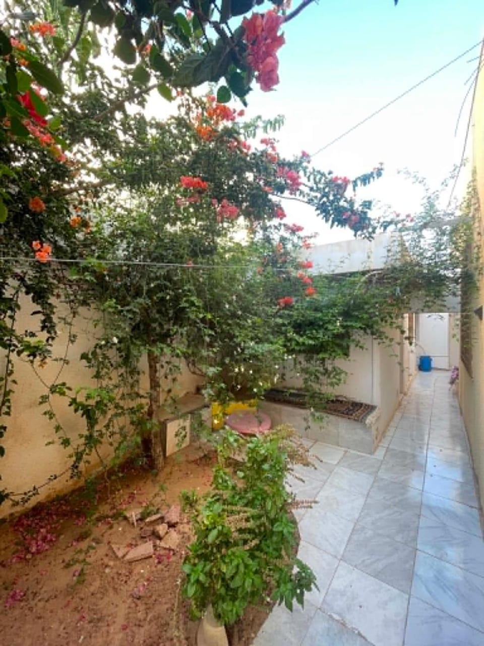 Day, Garden