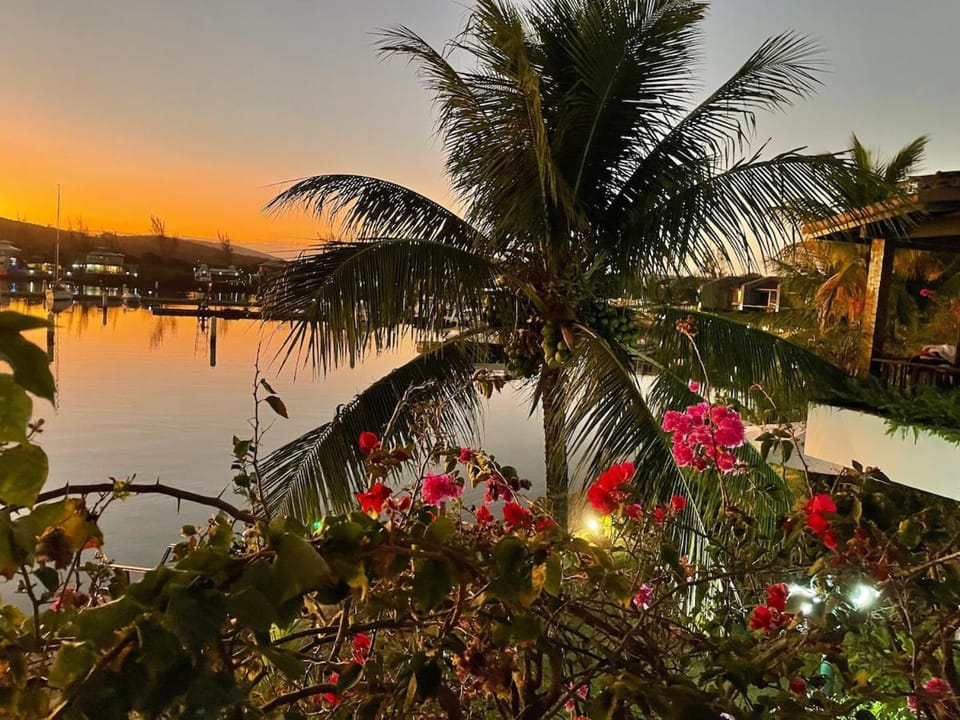 Natural landscape, Lake view, River view, Sunset