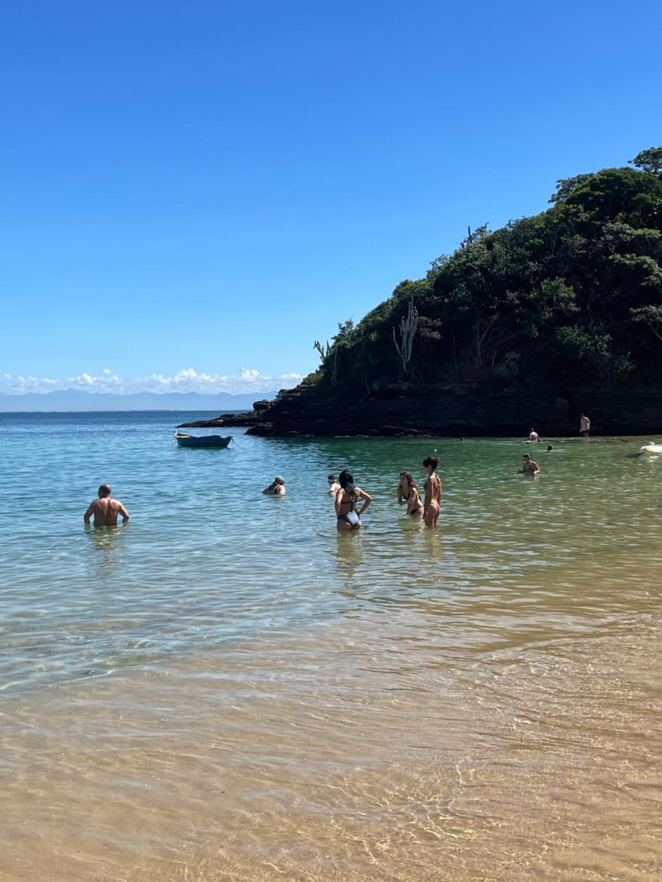 Natural landscape, Beach, group of guests